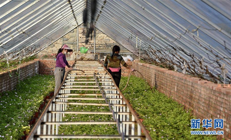 （圖文互動(dòng)）（2）這座小城，鐫刻下怎樣的&ldquo;世園印記&rdquo;&mdash;&mdash;北京世園會(huì)開(kāi)園一周年探訪延慶