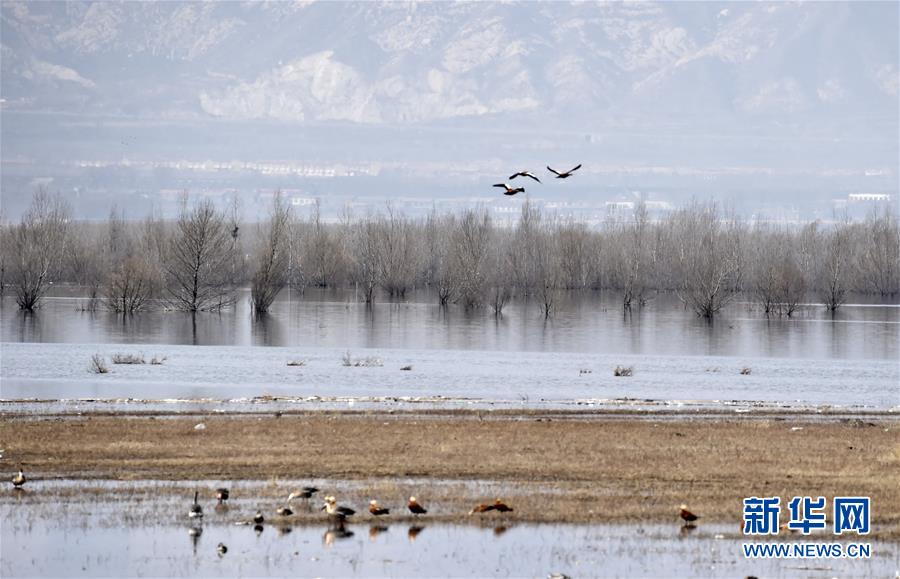 （圖文互動(dòng)）（3）這座小城，鐫刻下怎樣的&ldquo;世園印記&rdquo;&mdash;&mdash;北京世園會(huì)開(kāi)園一周年探訪延慶