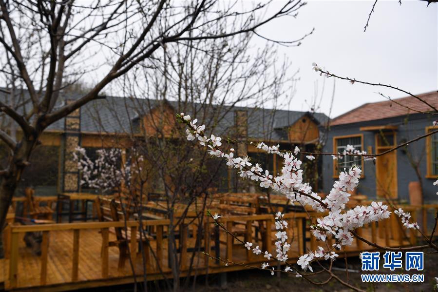 (圖文互動(dòng))(6)“疫”去客來(lái)會(huì)有時(shí)——新疆伊犁河谷旅游市場(chǎng)漸暖見聞