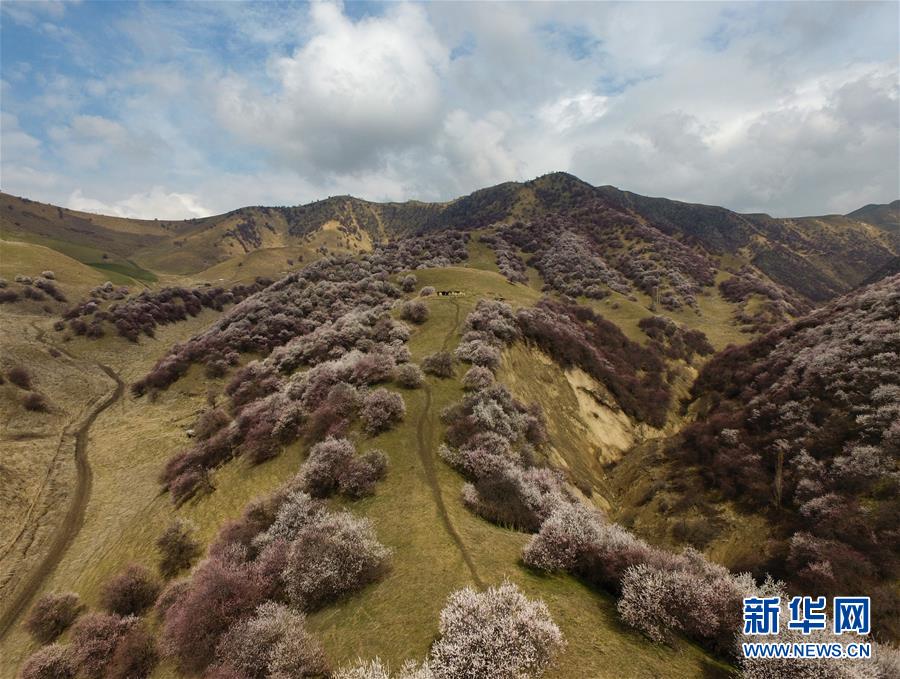 (圖文互動(dòng))(7)“疫”去客來(lái)會(huì)有時(shí)——新疆伊犁河谷旅游市場(chǎng)漸暖見聞