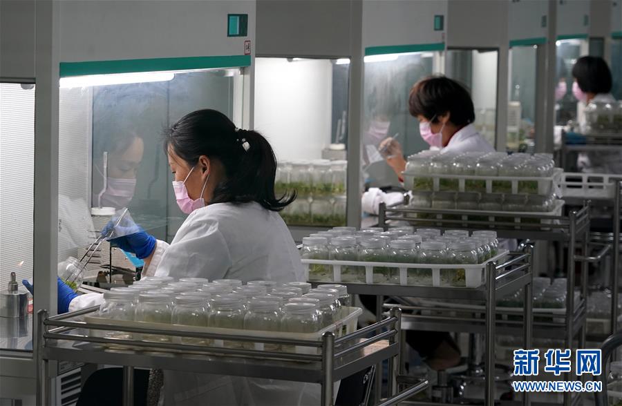 （來(lái)自一線(xiàn)的調(diào)查報(bào)告&middot;圖文互動(dòng)）（6）搶出一個(gè)身位謀發(fā)展&mdash;&mdash;河南許昌經(jīng)濟(jì)復(fù)蘇見(jiàn)聞