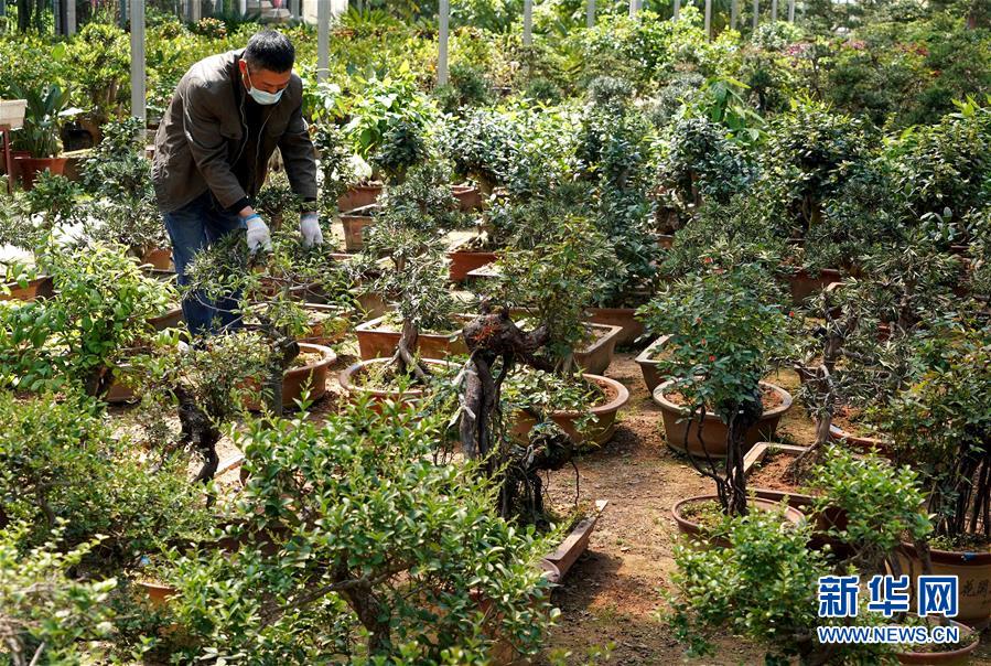 （來(lái)自一線(xiàn)的調(diào)查報(bào)告&middot;圖文互動(dòng)）（7）搶出一個(gè)身位謀發(fā)展&mdash;&mdash;河南許昌經(jīng)濟(jì)復(fù)蘇見(jiàn)聞