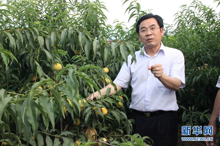 （圖文互動）（2）&ldquo;為脫貧而來，為脫貧而去&rdquo;&mdash;&mdash;追記湖南炎陵縣委原書記黃詩燕 