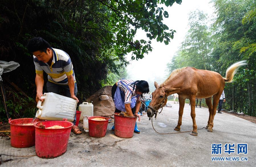 （決戰(zhàn)決勝脫貧攻堅(jiān)&middot;圖文互動）（4）老余賣騾子