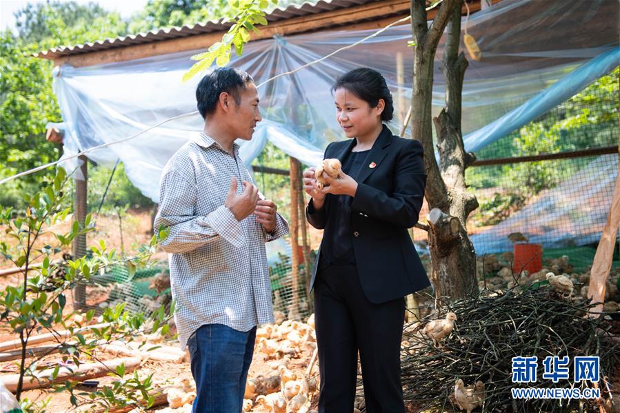 （圖文互動(dòng)）（1）扶貧干部唐華容：治疾病也治&ldquo;窮病&rdquo;