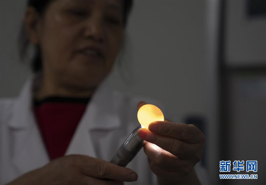 (決戰(zhàn)決勝脫貧攻堅(jiān)·圖文互動)(2)小鴿子帶來大希望——河北阜平硒鴿產(chǎn)業(yè)“飛翔”記