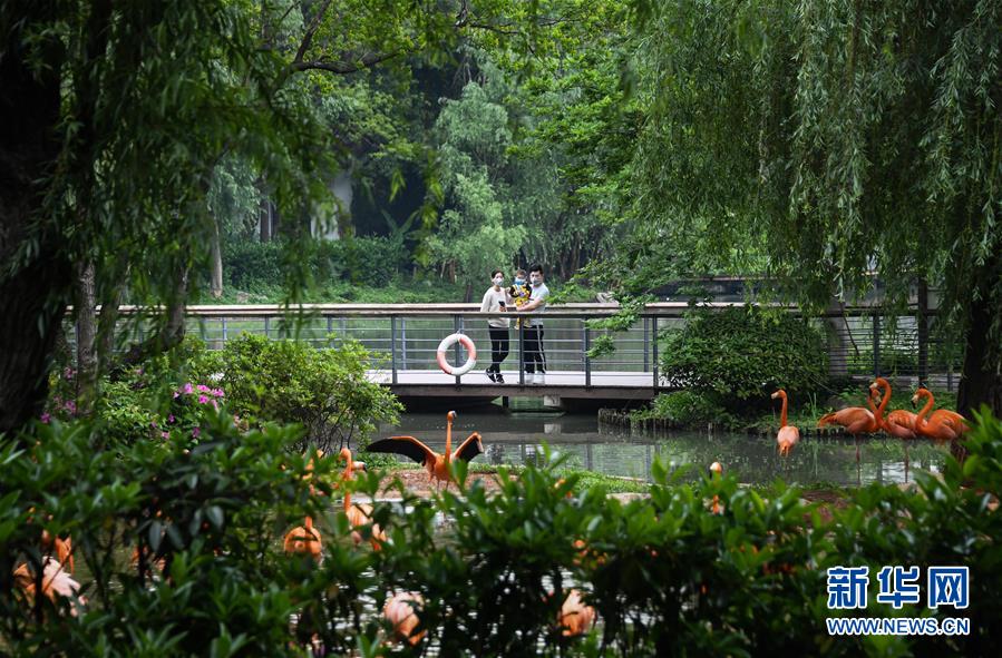 (在習(xí)近平新時代中國特色社會主義思想指引下——新時代新作為新篇章·習(xí)近平總書記關(guān)切事·圖文互動)(8)疫情防控不減壓 復(fù)工復(fù)產(chǎn)正加速——武漢“解封”滿月觀察