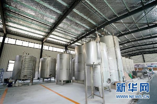 (決戰(zhàn)決勝脫貧攻堅·圖文互動)(5)西藏昌都“甜蜜”產業(yè)助脫貧