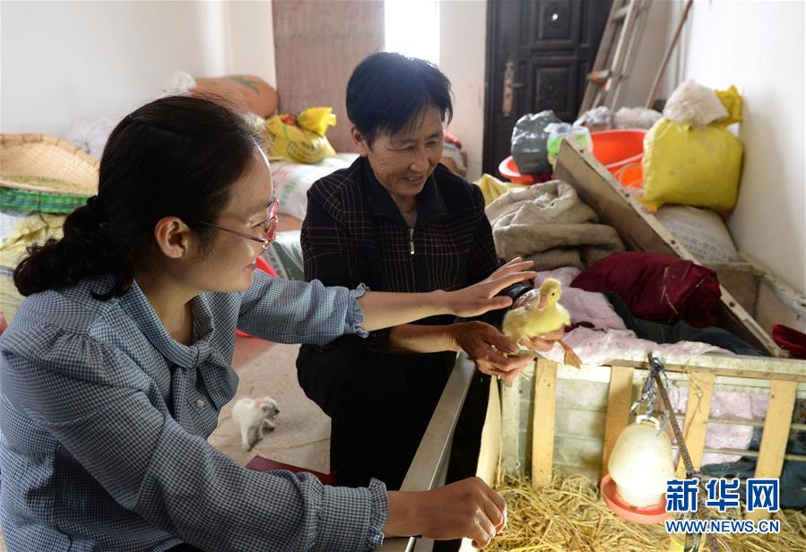 (代表委員履職)(2)全國(guó)人大代表王萌萌:產(chǎn)業(yè)興旺讓鄉(xiāng)村振興更有底氣