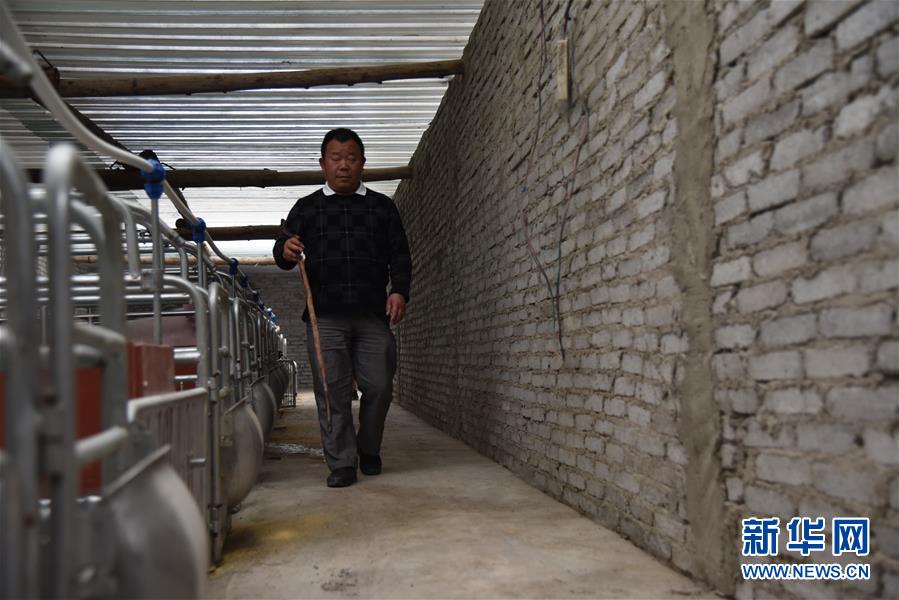 (新華全媒頭條·圖文互動)(6)刺梨花開滿山紅——記在貴州脫貧攻堅(jiān)一線奮斗的殘疾人