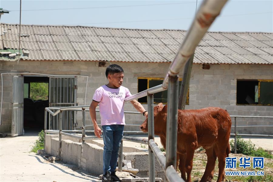 (新華全媒頭條·圖文互動)(8)刺梨花開滿山紅——記在貴州脫貧攻堅(jiān)一線奮斗的殘疾人