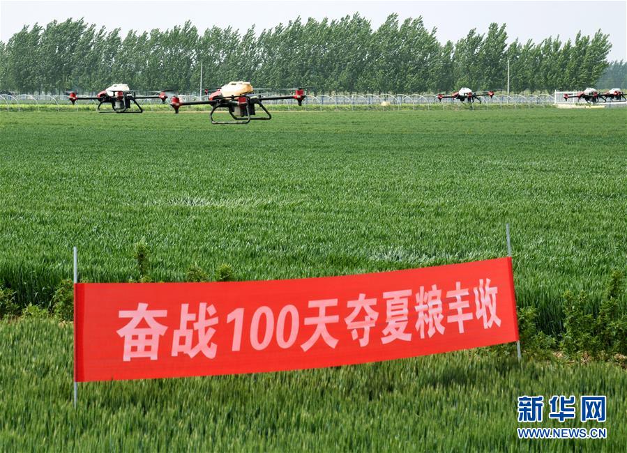 （在習(xí)近平新時代中國特色社會主義思想指引下&mdash;&mdash;新時代新作為新篇章&middot;習(xí)近平總書記關(guān)切事&middot;圖文互動）（9）新農(nóng)事、新希望&mdash;&mdash;夏收前田間新動態(tài)掃描