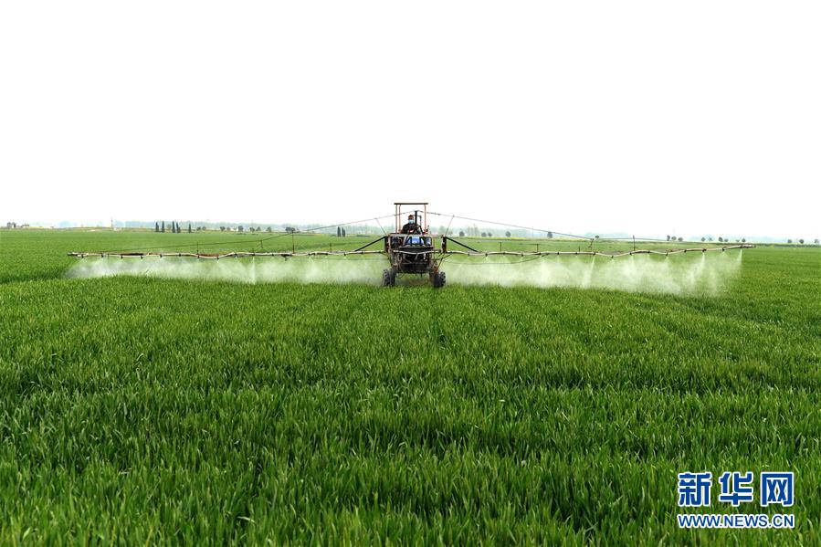 （在習(xí)近平新時代中國特色社會主義思想指引下&mdash;&mdash;新時代新作為新篇章&middot;習(xí)近平總書記關(guān)切事&middot;圖文互動）（10）新農(nóng)事、新希望&mdash;&mdash;夏收前田間新動態(tài)掃描