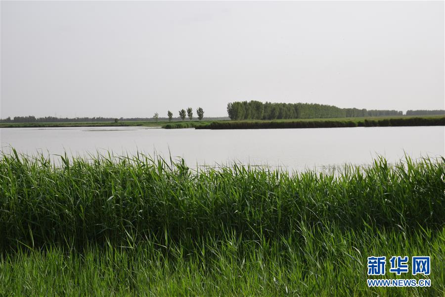 (圖文互動(dòng))(2)巡護(hù)員鏡頭下的“京津綠肺”變身記