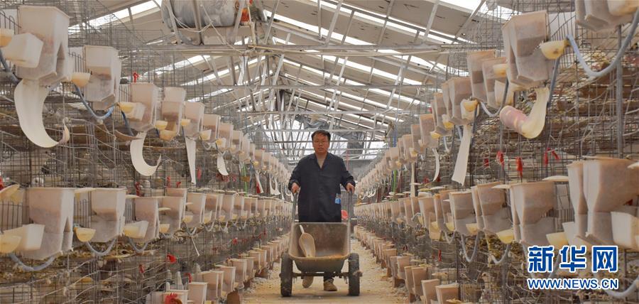 （新華全媒頭條&middot;兩會(huì)精神看落實(shí)&middot;圖文互動(dòng)）（1）努力讓群眾看到變化得到實(shí)惠&mdash;&mdash;落實(shí)全國(guó)兩會(huì)精神持續(xù)保障和改善民生述評(píng)