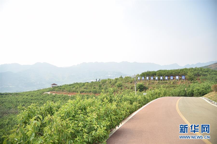 (決戰(zhàn)決勝脫貧攻堅(jiān)·圖文互動)(2)烏蒙山農(nóng)民的笑臉——貴州脫貧攻堅(jiān)一線采訪隨筆