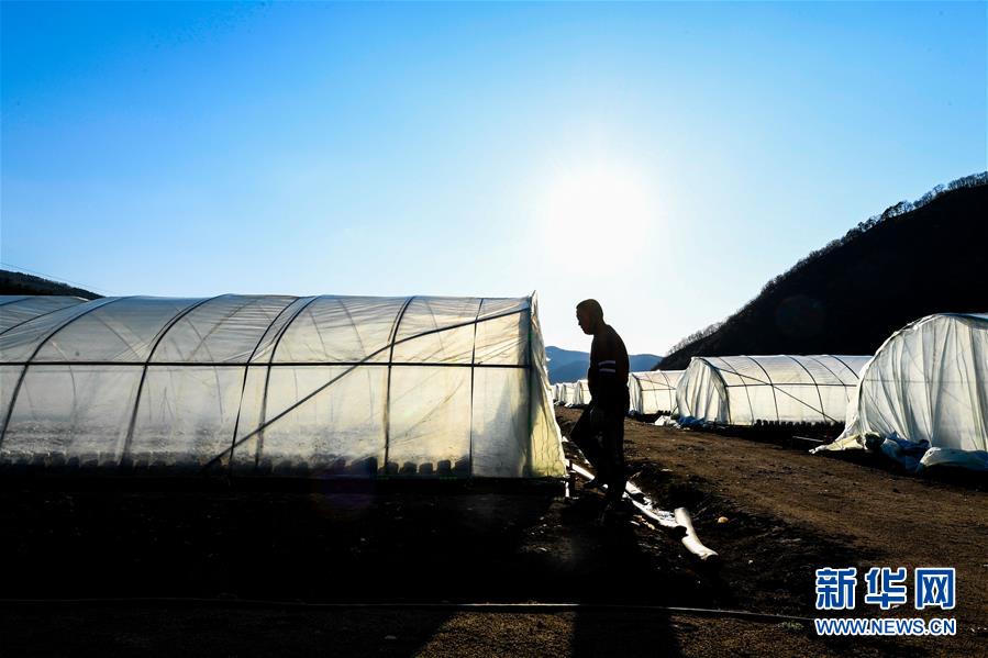 (決戰(zhàn)決勝脫貧攻堅(jiān)·圖文互動(dòng))(10)長白山下唱新篇——吉林延邊州脫貧攻堅(jiān)觀察