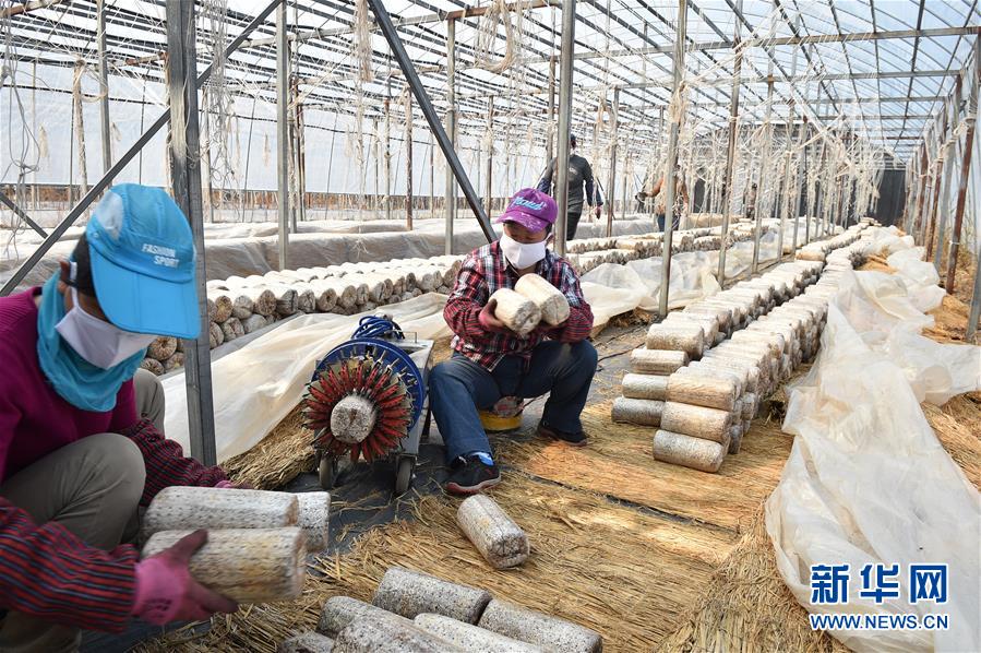 (決戰(zhàn)決勝脫貧攻堅(jiān)·圖文互動(dòng))(4)長白山下唱新篇——吉林延邊州脫貧攻堅(jiān)觀察