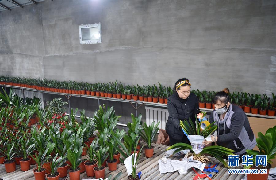 (決戰(zhàn)決勝脫貧攻堅(jiān)·圖文互動(dòng))(11)長白山下唱新篇——吉林延邊州脫貧攻堅(jiān)觀察