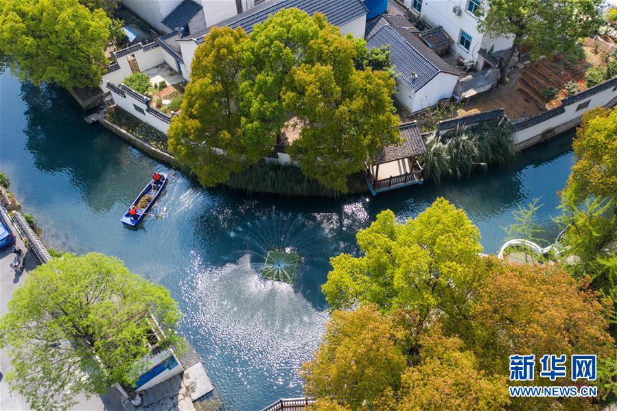 (新華全媒頭條·圖文互動(dòng))(6)從“藍(lán)圖規(guī)劃”到美麗“現(xiàn)實(shí)畫卷”——長(zhǎng)三角一體化高質(zhì)量發(fā)展一年間