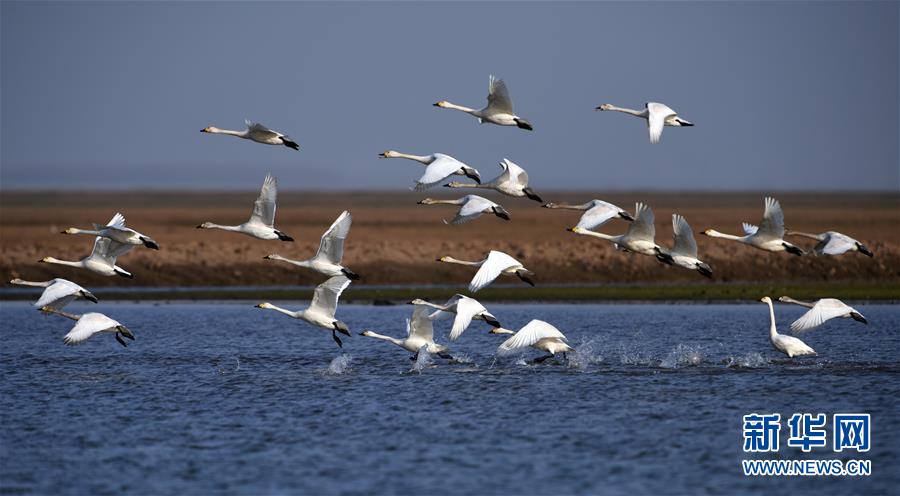 （新華全媒頭條&middot;圖文互動）（10）大湖新歌&mdash;&mdash;我國兩大淡水湖全面生態(tài)修復(fù)進行時