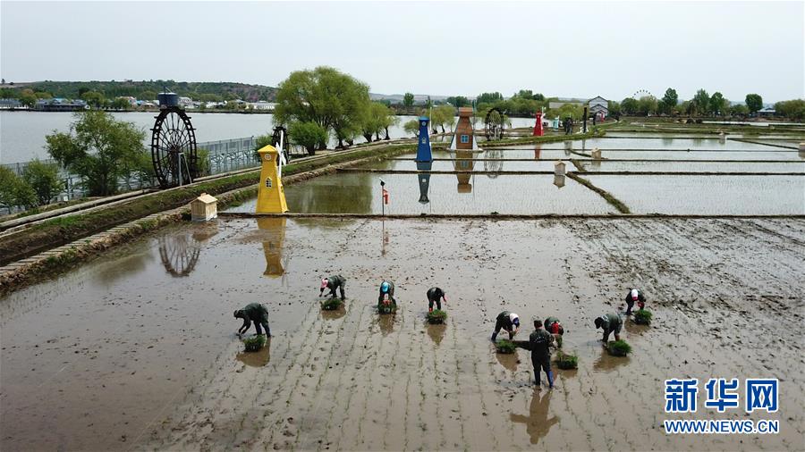 (在習近平新時代中國特色社會主義思想指引下——新時代新作為新篇章·習近平總書記關(guān)切事·圖文互動)(6)讓農(nóng)民挑上“金扁擔”——農(nóng)業(yè)現(xiàn)代化的生動實踐掃描