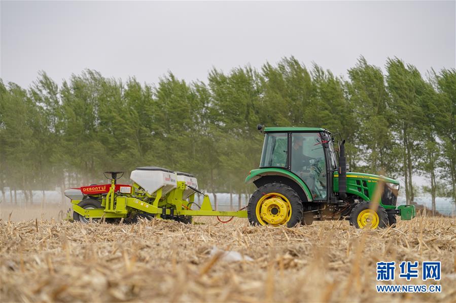 (在習近平新時代中國特色社會主義思想指引下——新時代新作為新篇章·習近平總書記關(guān)切事·圖文互動)(9)讓農(nóng)民挑上“金扁擔”——農(nóng)業(yè)現(xiàn)代化的生動實踐掃描