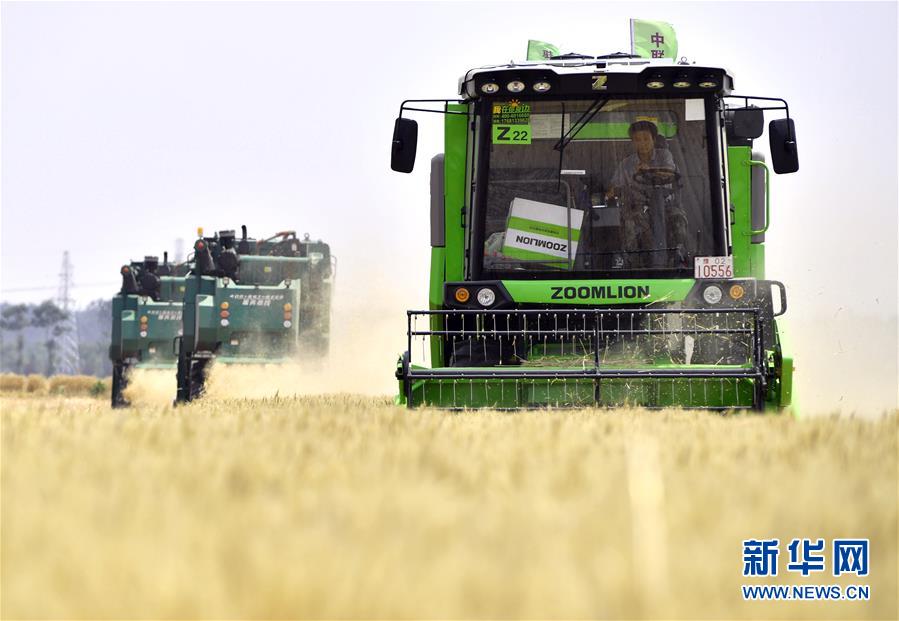 (在習近平新時代中國特色社會主義思想指引下——新時代新作為新篇章·習近平總書記關(guān)切事·圖文互動)(12)讓農(nóng)民挑上“金扁擔”——農(nóng)業(yè)現(xiàn)代化的生動實踐掃描