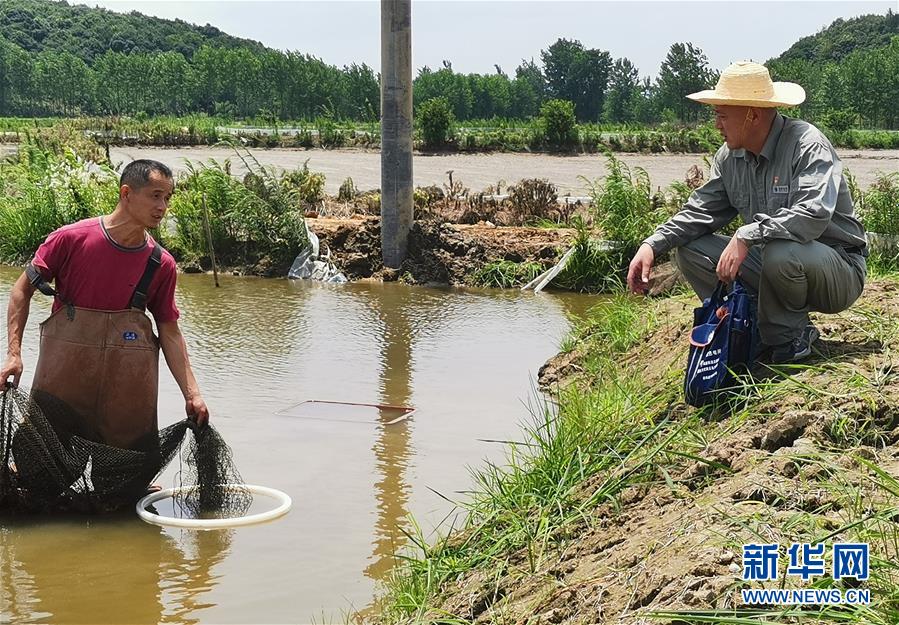 （決戰(zhàn)決勝脫貧攻堅&middot;圖文互動）（3）駐村第一書記當(dāng)起&ldquo;蝦農(nóng)&rdquo;&ldquo;牛倌&rdquo;