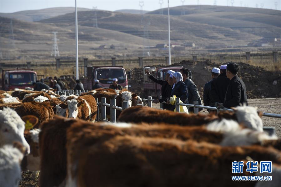 （在習(xí)近平新時(shí)代中國(guó)特色社會(huì)主義思想指引下&mdash;&mdash;新時(shí)代新作為新篇章&middot;習(xí)近平總書記關(guān)切事&middot;圖文互動(dòng)）（2）六盤山下的誓言&mdash;&mdash;來自寧夏的脫貧故事