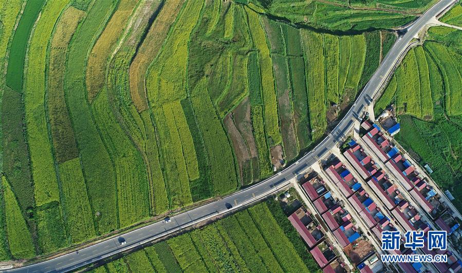 （在習(xí)近平新時(shí)代中國(guó)特色社會(huì)主義思想指引下&mdash;&mdash;新時(shí)代新作為新篇章&middot;習(xí)近平總書記關(guān)切事&middot;圖文互動(dòng)）（4）六盤山下的誓言&mdash;&mdash;來自寧夏的脫貧故事