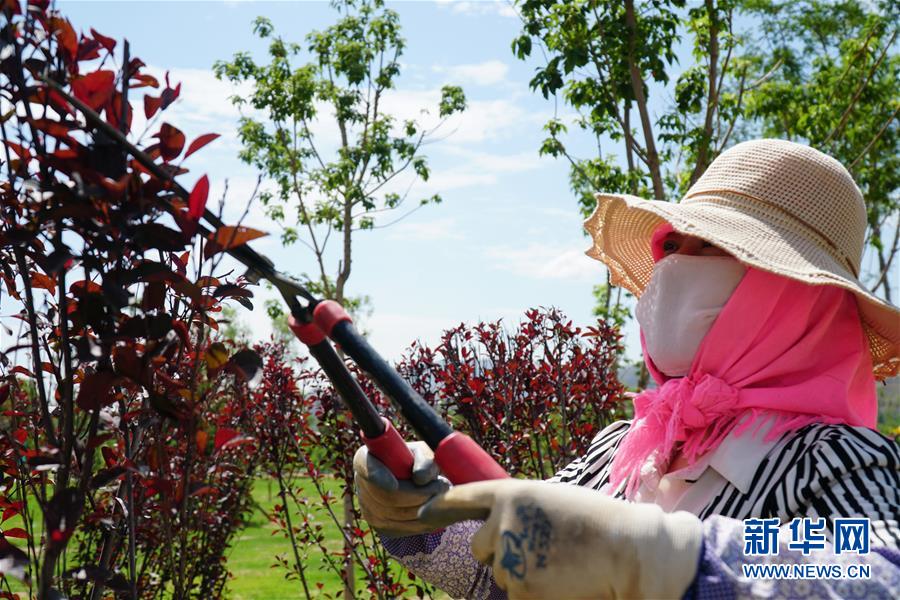 (決戰(zhàn)決勝脫貧攻堅(jiān)·圖文互動)(2)李三姐有了“美”差事