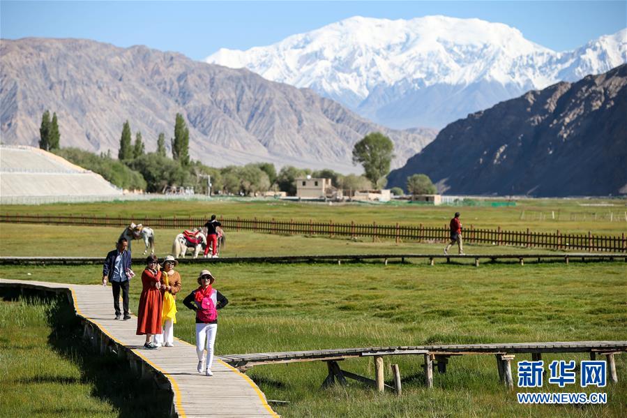 （新華全媒頭條&middot;圖文互動）（15）飛吧，&ldquo;帕米爾雄鷹&rdquo;！