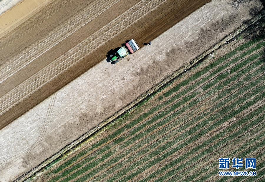 (新華全媒頭條·圖文互動(dòng))(11)中國(guó)北斗 服務(wù)全球——寫在我國(guó)完成北斗全球衛(wèi)星導(dǎo)航系統(tǒng)星座部署之際