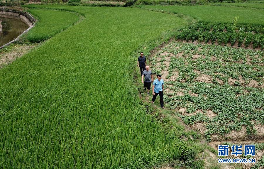 （圖文互動(dòng)）（6）湘南深山，堅(jiān)守扶貧一線的黨員之家