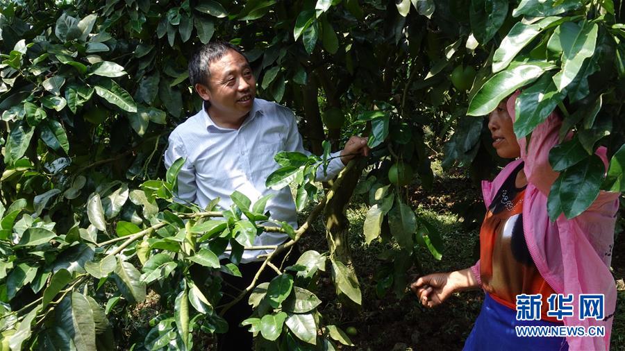 （新華網(wǎng)&middot;決戰(zhàn)決勝脫貧攻堅&middot;圖文互動）（1）貴州思南：強(qiáng)村帶弱村 &ldquo;抱團(tuán)&rdquo;促增收