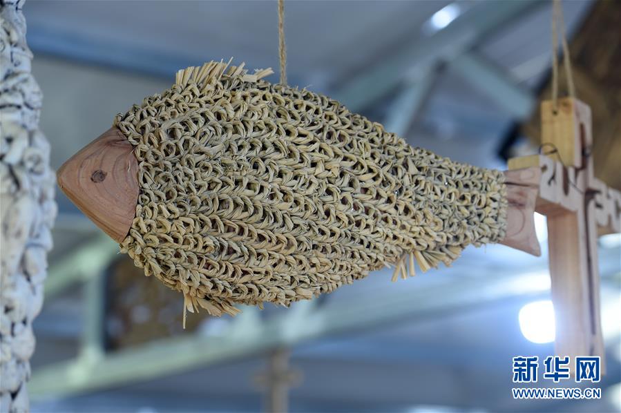  （新華全媒頭條&middot;圖文互動）（6）青春，在希望的田野上&mdash;&mdash;大別山區(qū)尋訪&ldquo;城歸&rdquo;大學(xué)畢業(yè)生