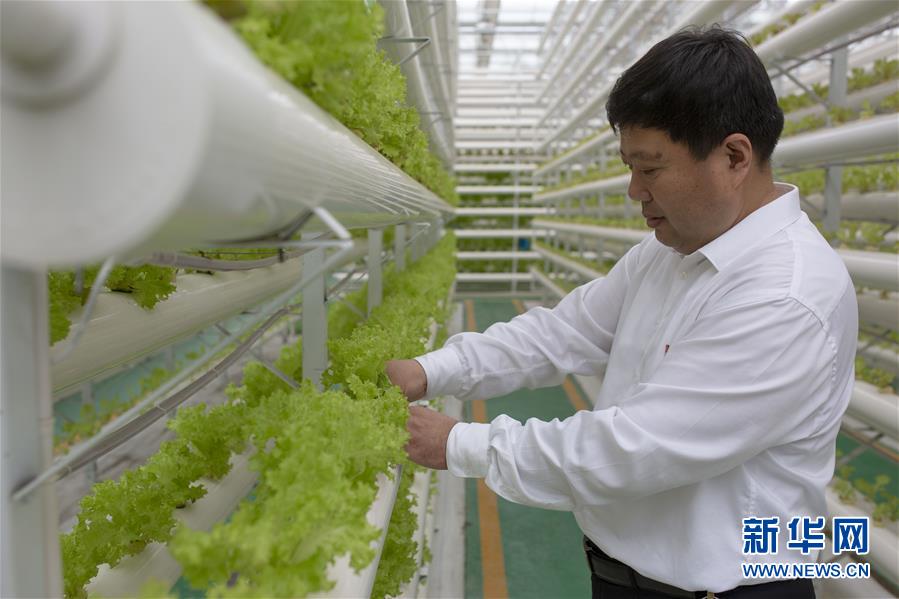 (新華全媒頭條·圖文互動(dòng))(1)十任“支書”一個(gè)夢(mèng)