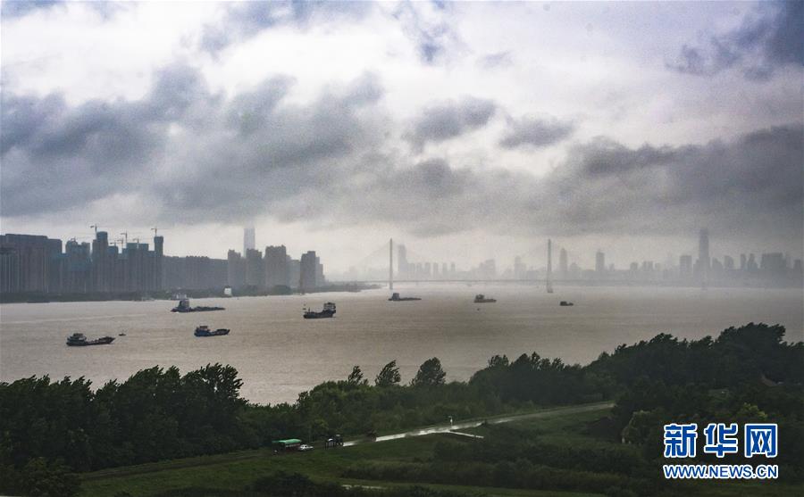 (防汛抗洪)(6)長(zhǎng)江漢口站水位達(dá)到警戒水位