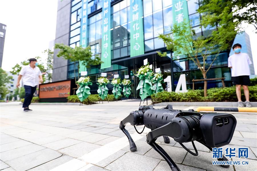 （新華全媒頭條&middot;圖文互動(dòng)）（10）讓世界更有&ldquo;AI&rdquo;&mdash;&mdash;透視2020世界人工智能大會(huì)云端峰會(huì)