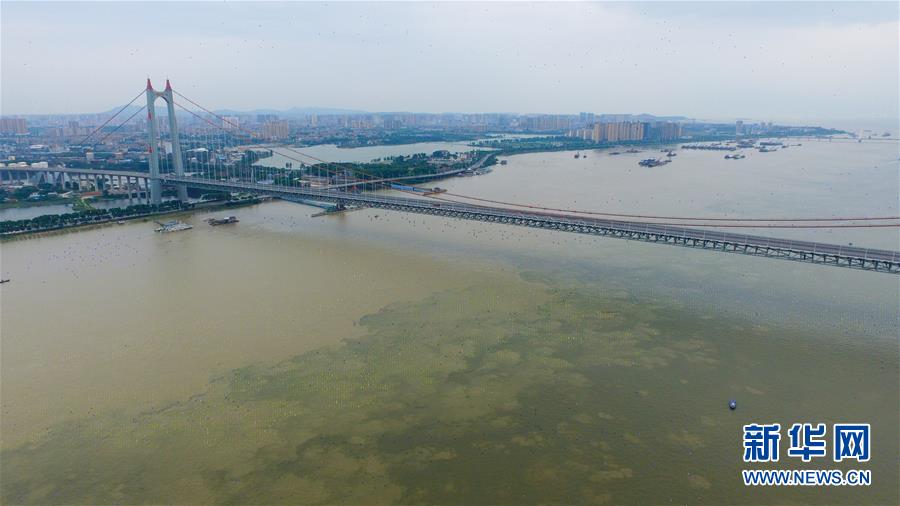 (防汛抗洪)(3)洞庭湖城陵磯站超保證水位