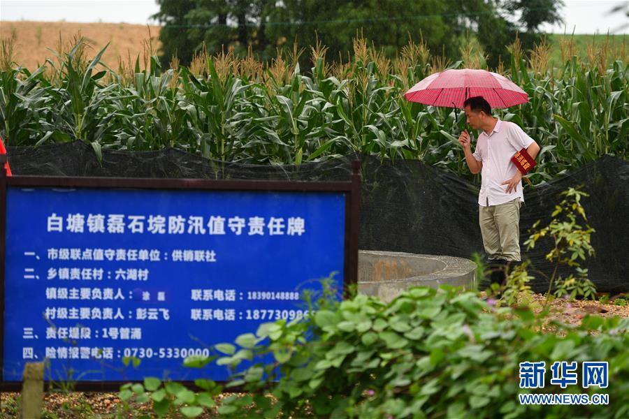 （防汛抗洪&middot;圖文互動）（1）&ldquo;險情不可怕，可怕的是不能及時發(fā)現(xiàn)險情&rdquo;&mdash;&mdash;洞庭湖巡堤查險現(xiàn)場直擊