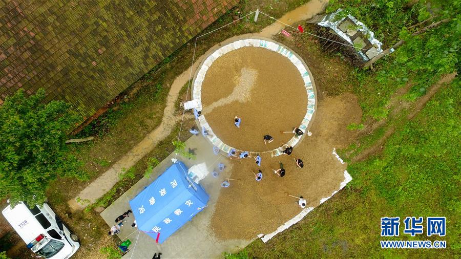 （防汛抗洪&middot;圖文互動）（2）&ldquo;險情不可怕，可怕的是不能及時發(fā)現(xiàn)險情&rdquo;&mdash;&mdash;洞庭湖巡堤查險現(xiàn)場直擊