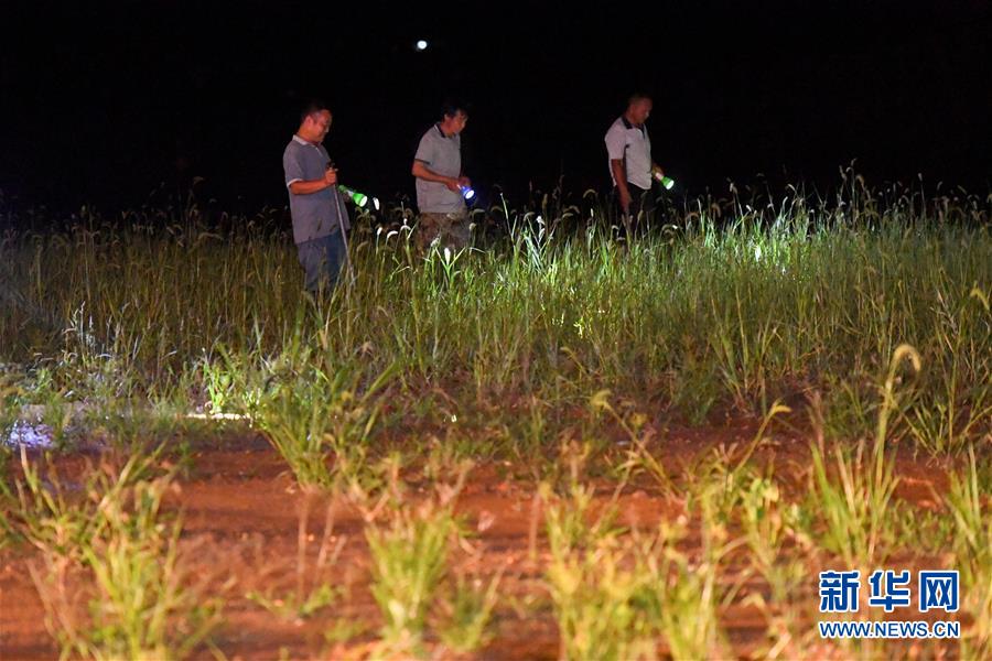 （防汛抗洪&middot;圖文互動(dòng)）（2）&ldquo;保衛(wèi)家園，誰都不能是旁觀者&rdquo;&mdash;&mdash;夜訪洞庭湖大堤防汛一線