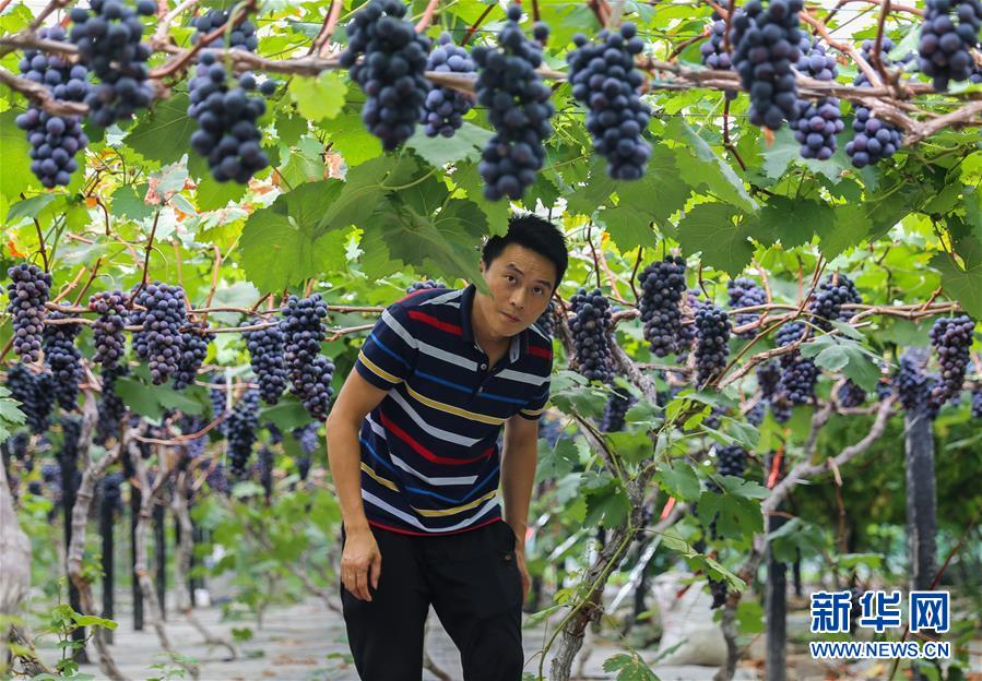 (新華全媒頭條·走向我們的小康生活·圖文互動)(9)奮斗繪就“新天府”——川蜀大地干群“戰(zhàn)貧”軌跡掃描