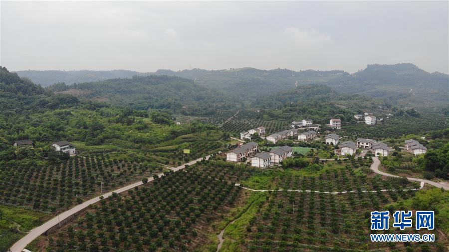 (走向我們的小康生活·圖文互動(dòng))(1)擺擺幸福鄉(xiāng)村的新鮮事兒