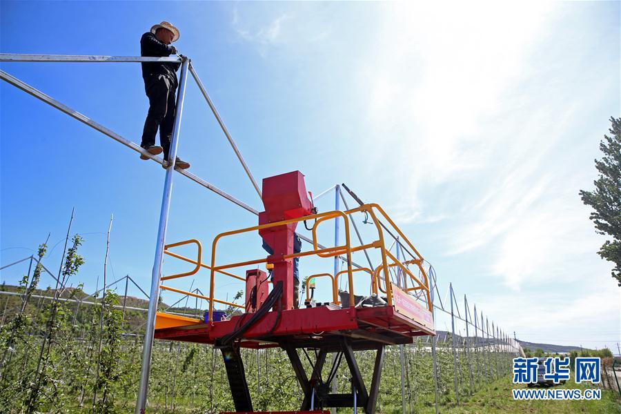 （走向我們的小康生活&middot;圖文互動(dòng)）（2）西海固換了新模樣