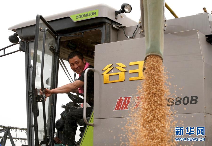 (在習(xí)近平新時(shí)代中國特色社會主義思想指引下——新時(shí)代新作為新篇章·習(xí)近平總書記關(guān)切事·圖文互動)(3)食為政首——穩(wěn)住農(nóng)業(yè)基本盤增添發(fā)展底氣