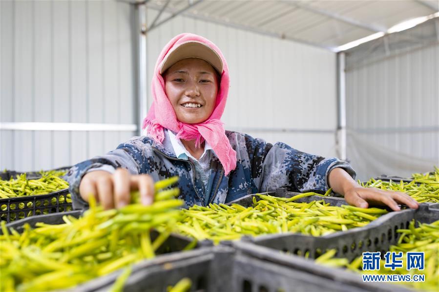 （新華全媒頭條&middot;走向我們的小康生活&middot;圖文互動(dòng)）（12）23萬(wàn)人的命運(yùn)轉(zhuǎn)折&mdash;&mdash;我國(guó)最大易地生態(tài)移民安置區(qū)的脫貧密碼