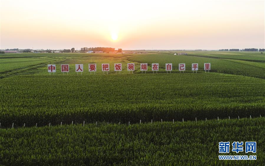 （在習(xí)近平新時(shí)代中國(guó)特色社會(huì)主義思想指引下&mdash;&mdash;新時(shí)代新作為新篇章&middot;習(xí)近平總書記關(guān)切事&middot;圖文互動(dòng)）（1）讓百姓吃得飽還要吃得好&mdash;&mdash;夯實(shí)糧食安全基礎(chǔ)端牢中國(guó)飯碗